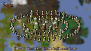 Read more about the article How To Get Fairy Ring In House Osrs