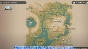 Read more about the article Obsidian Fieldlands Location In Pokemon Legends Arceus