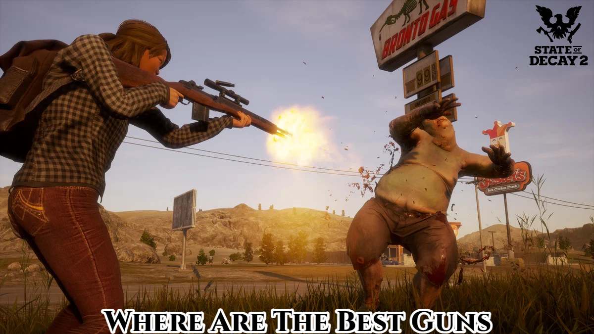 You are currently viewing Where Are The Best Guns In State Of Decay 2