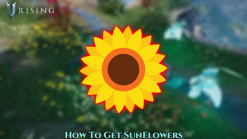 You are currently viewing How To Get SunFlowers In V Rising