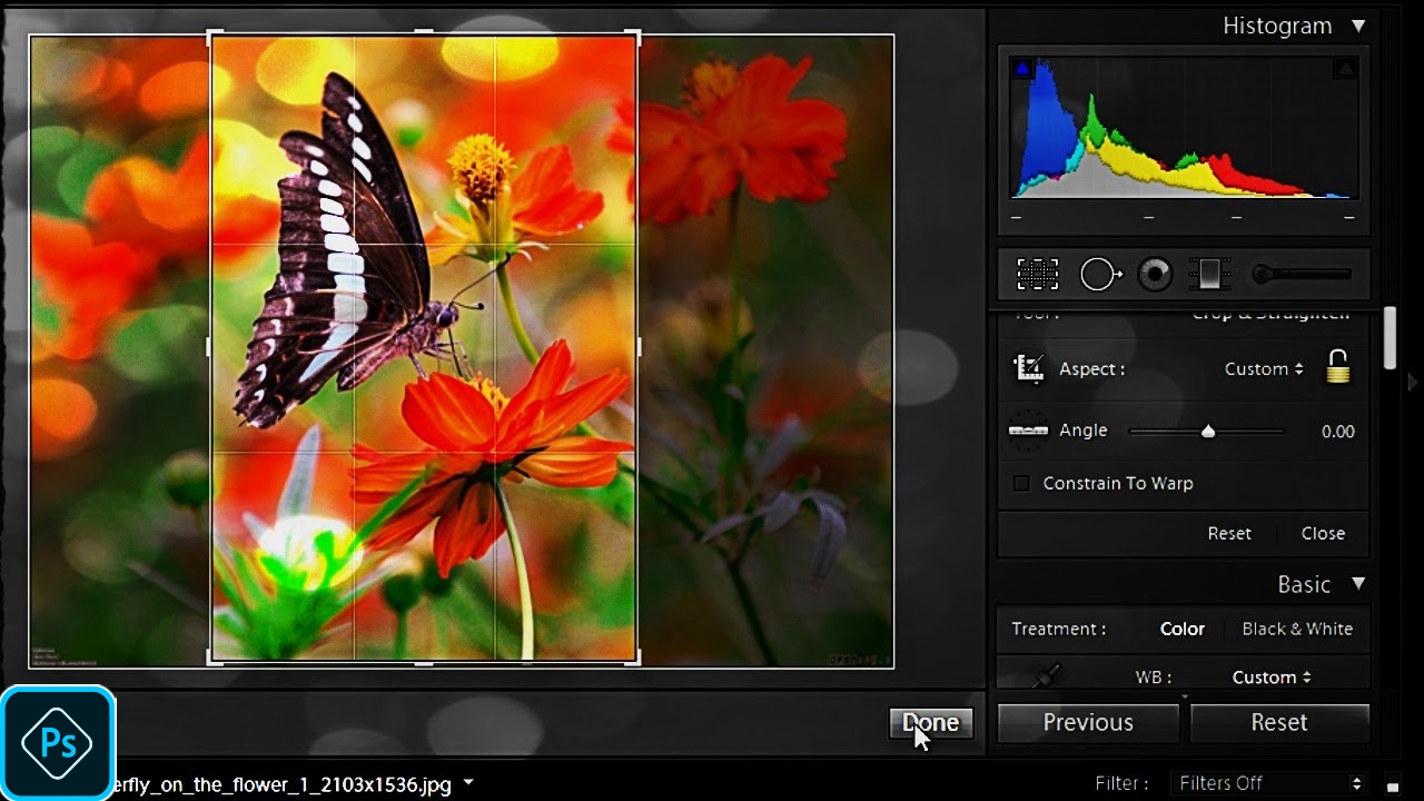 You are currently viewing Adobe Photoshop Mod Apk Premium 2022