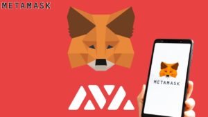 Read more about the article How To Add Avalanche To Metamask Mobile