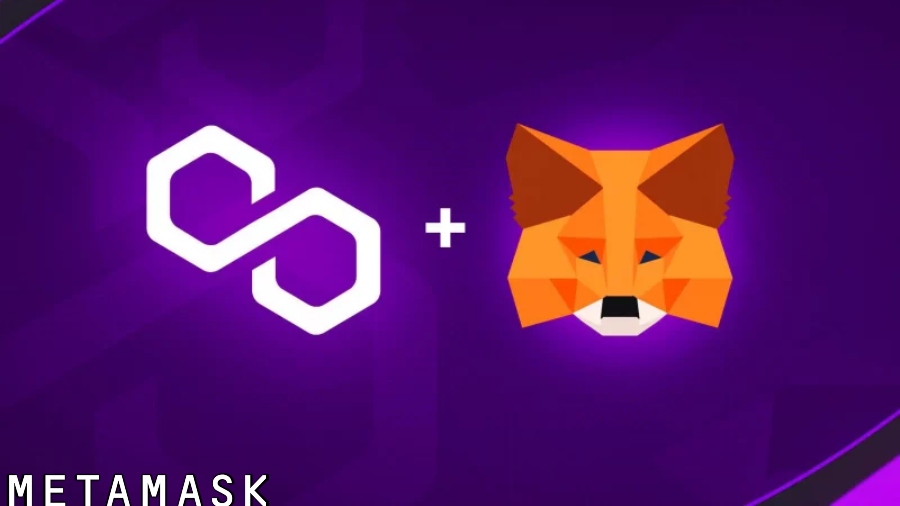 Read more about the article How To Add Polygon Network To Metamask Mobile