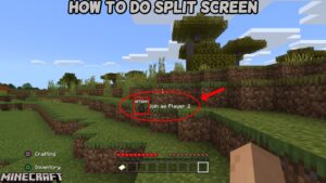 Read more about the article How To Do Split Screen In Minecraft