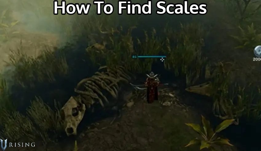 You are currently viewing How To Find Scales V Rising