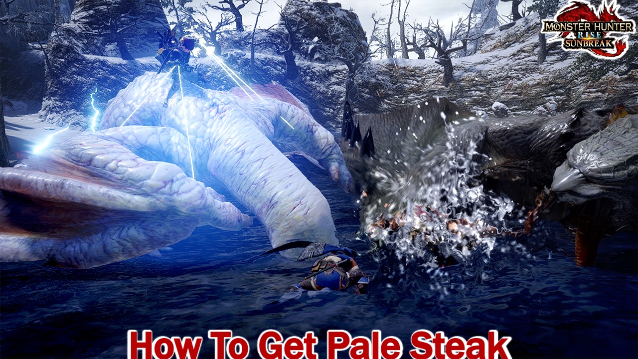 You are currently viewing How To Get Pale Steak In MHR