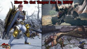 Read more about the article How To Get Torpor Sac In MHW