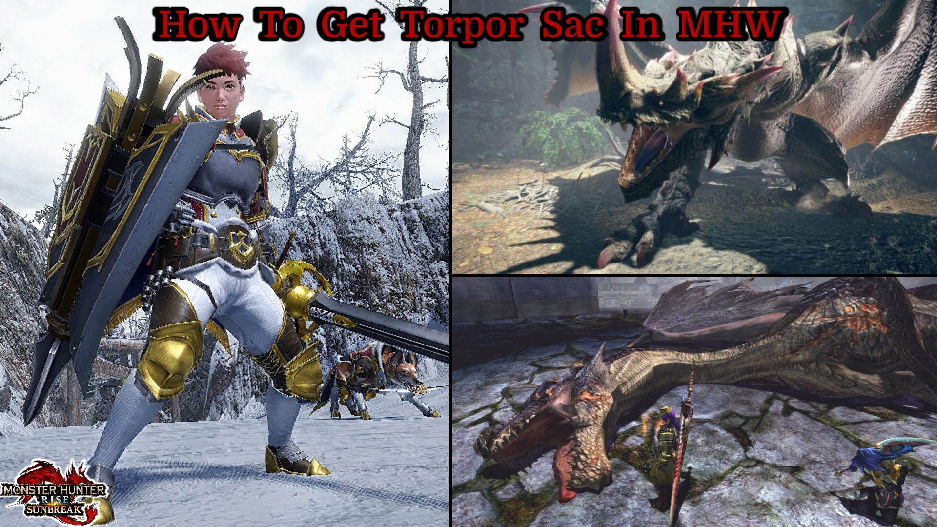 You are currently viewing How To Get Torpor Sac In MHW