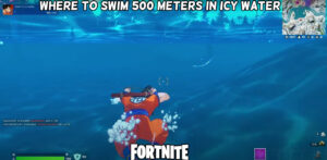 Read more about the article Fortnite: Where To Swim 500 Meters In Icy Water