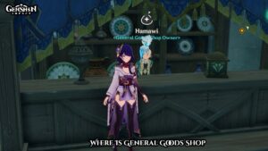 Read more about the article Where Is General Goods Shop In Genshin Impact Sumeru