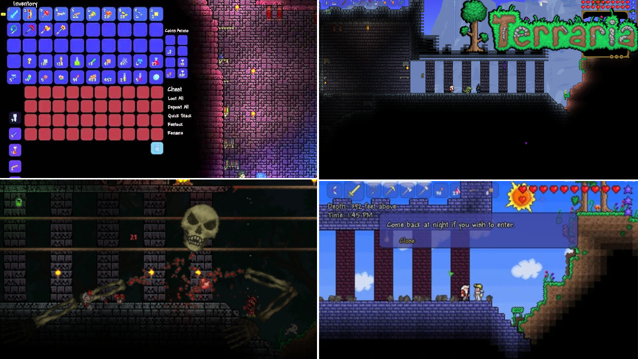Read more about the article How To Get Into The Dungeon Without Killing Skeletron In Terraria