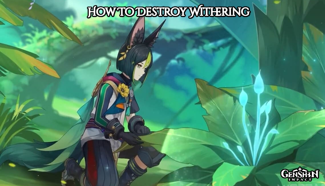 You are currently viewing How To Destroy Withering In Genshin Impact