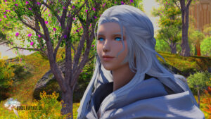 Read more about the article Who Is Azem In FFXIV