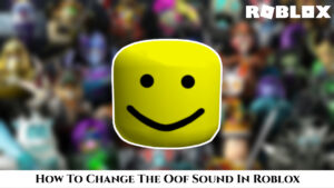 Read more about the article How To Change The Oof Sound In Roblox