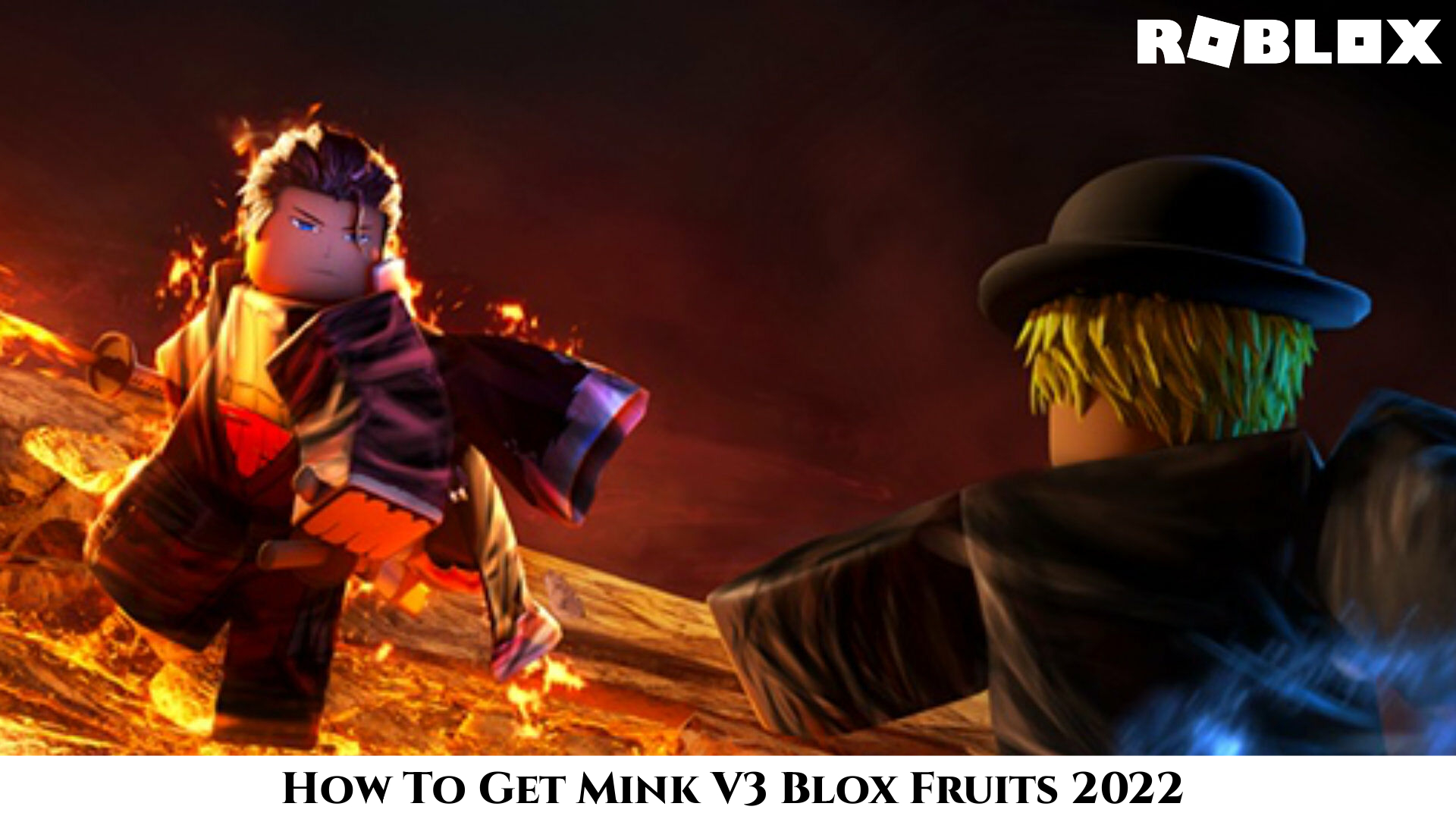 Read more about the article How To Get Mink V3 Blox Fruits 2022