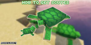 Read more about the article How To Get Scutes In Minecraft Pe