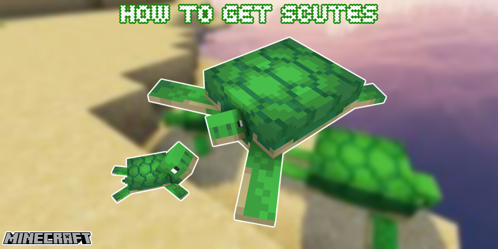 You are currently viewing How To Get Scutes In Minecraft Pe