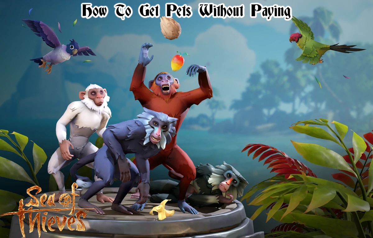 You are currently viewing Sea Of Thieves: How To Get Pets Without Paying