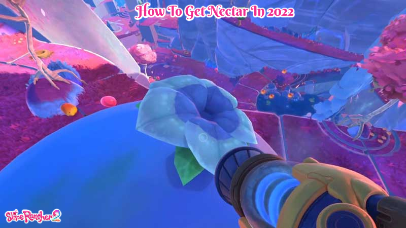 You are currently viewing How To Get Nectar In Slime Rancher 2 2022