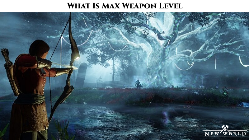 You are currently viewing What Is Max Weapon Level In New World