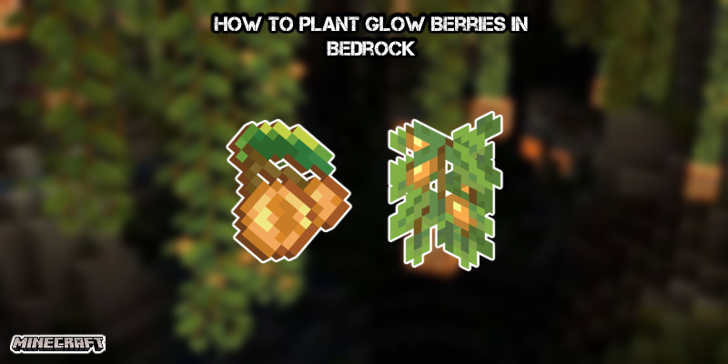 You are currently viewing How To Plant Glow Berries In Minecraft Bedrock
