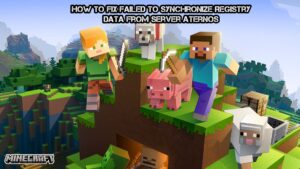 Read more about the article How To Fix Failed To Synchronize Registry Data From Server Minecraft Aternos