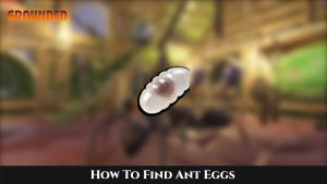 Read more about the article How To Find Ant Eggs Grounded