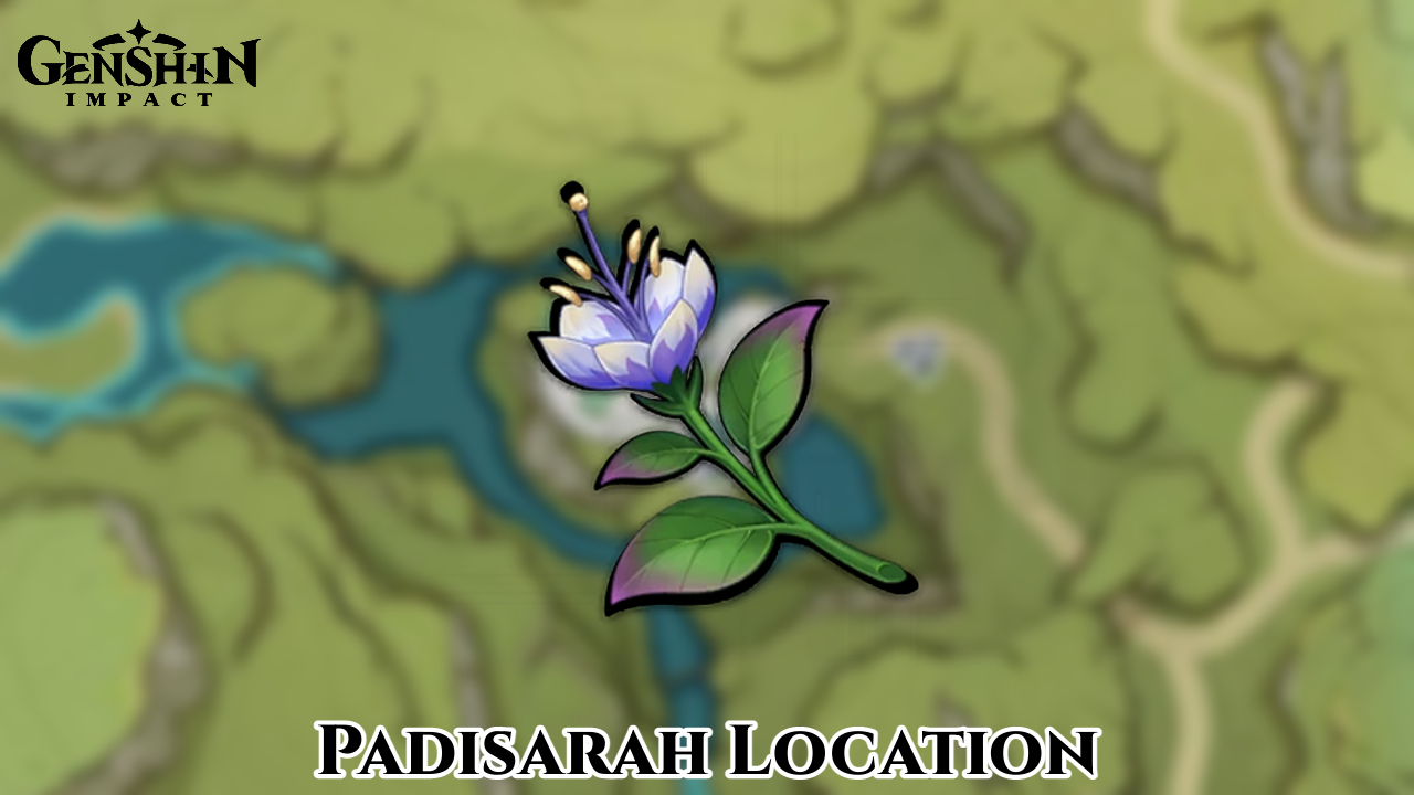 You are currently viewing Padisarah Location In Genshin Impact