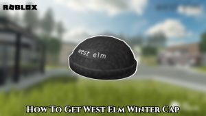 Read more about the article How To Get West Elm Winter Cap In Roblox
