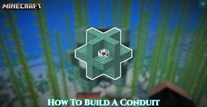 Read more about the article How To Build A Conduit In Minecraft 1.19