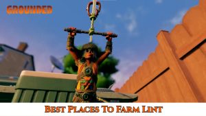 Read more about the article Best Places To Farm Lint in Grounded