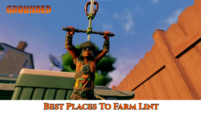 You are currently viewing Best Places To Farm Lint in Grounded
