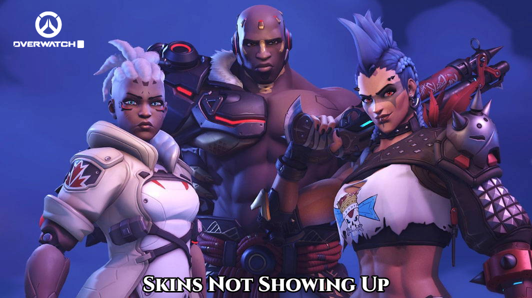 You are currently viewing Overwatch 2 Skins Not Showing Up