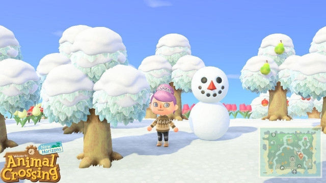 You are currently viewing Snowflakes Location In Animal Crossing New Horizons