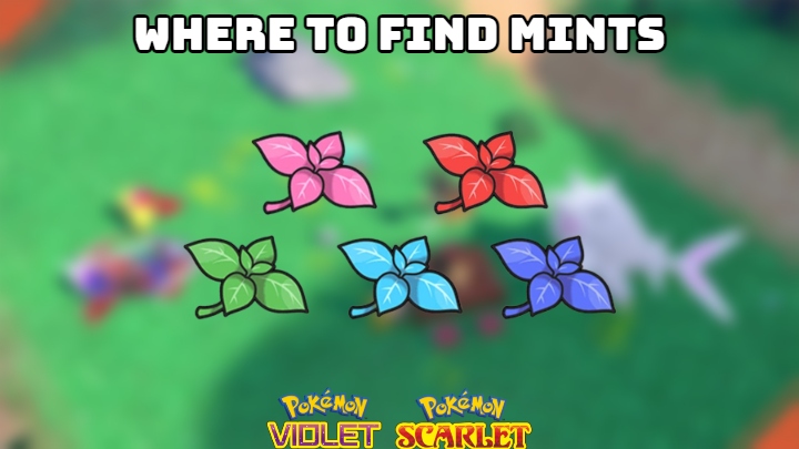 You are currently viewing Where To Find Mints In Pokemon Scarlet & Violet