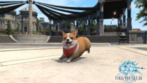 Read more about the article How To Get The Corgi Minion In FFXIV