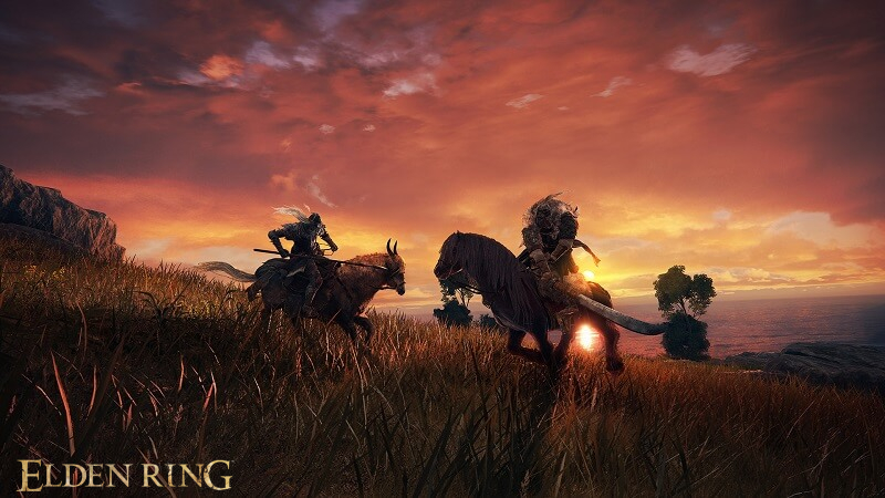 Read more about the article How To Play Seamless Co Op In Elden Ring