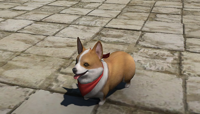 How To Get the Corgi Minion In FFXIV