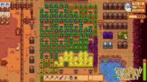 Read more about the article Stardew Valley: Best Way To Organize Chests