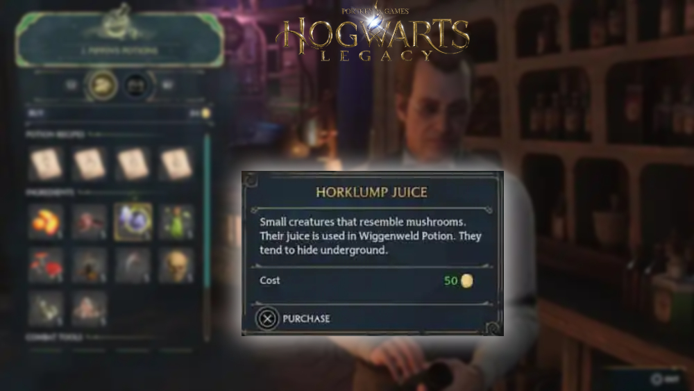 You are currently viewing How To Get Hork lump Juice In Hogwarts Legacy 2023