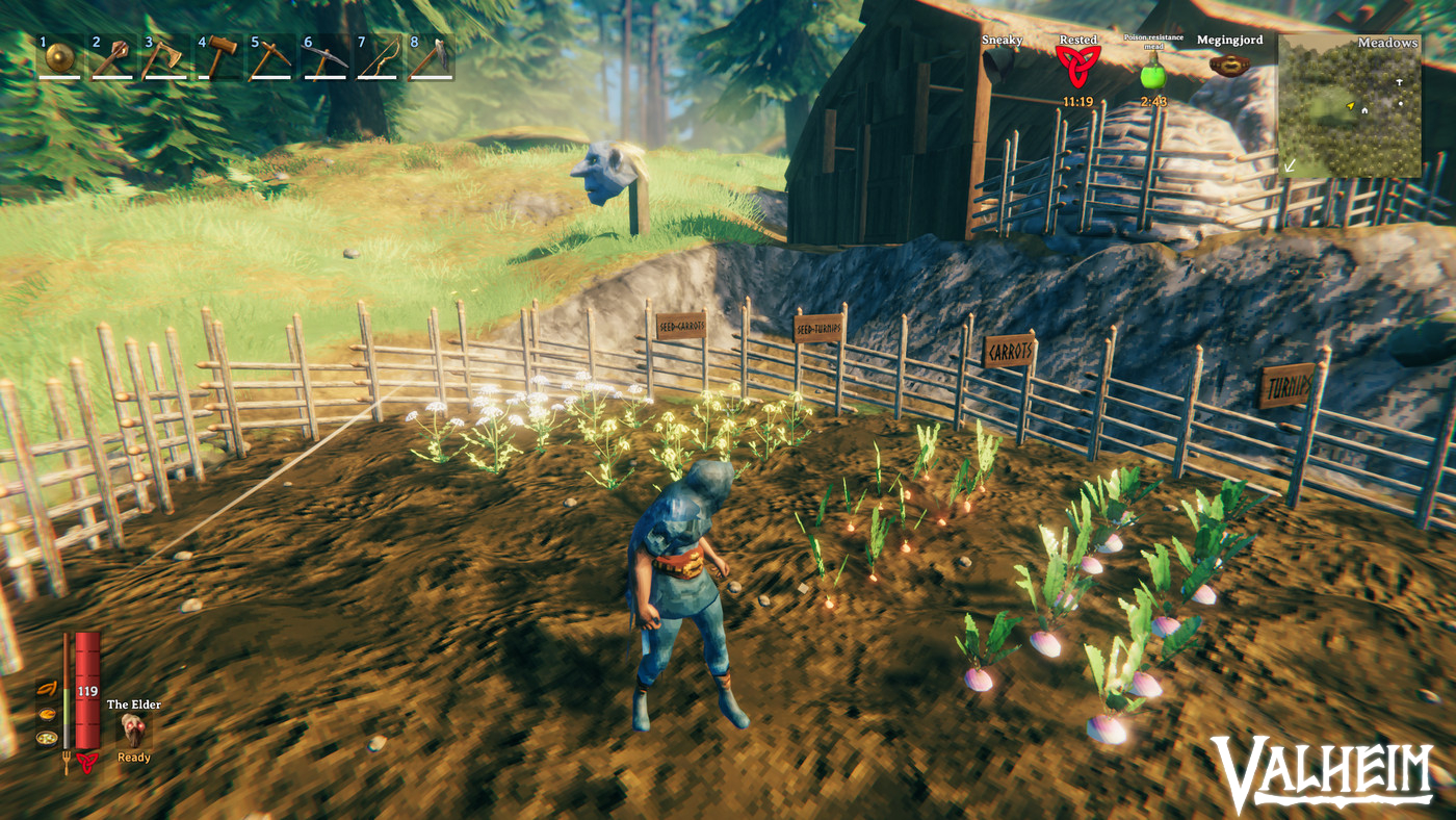 Read more about the article How To Get Use Seeds In Valheim 2023