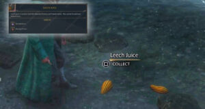 Read more about the article Leech Juice Location In Hogwarts Legacy 2023