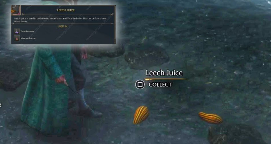You are currently viewing Leech Juice Location In Hogwarts Legacy 2023