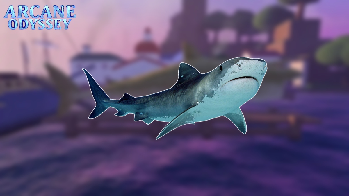 You are currently viewing How To Find Sharks In Arcane Odyssey