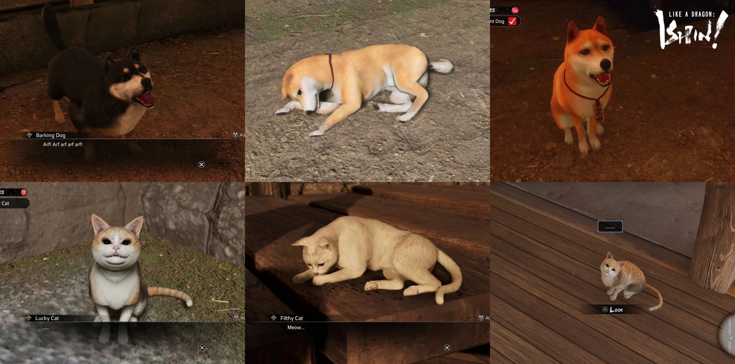 Read more about the article How To Unlock All Pets In Like A Dragon Ishin