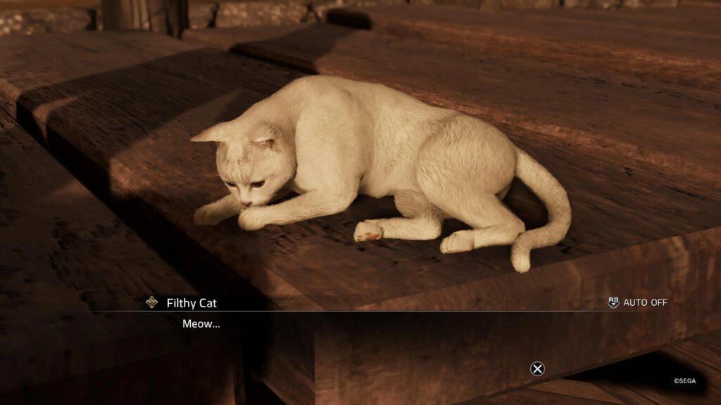 The Filthy Cat In Like A Dragon Ishin
