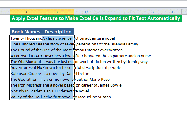 What Is Fit Text In Excel Cell