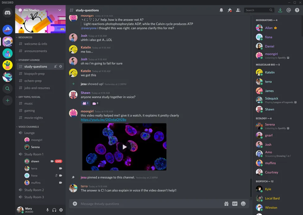 How To Change Your Name In Discord 2023