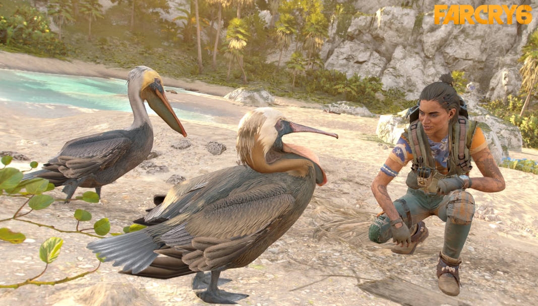 Read more about the article How To Feed The Pelicans In Far Cry 6
