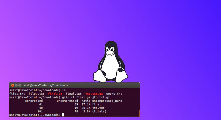 Read more about the article How To Zip A File In Linux Using Gzip